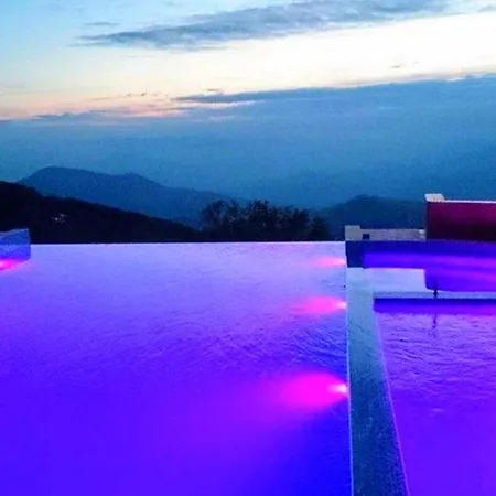 Milmari And Wellness Wooden Horn S21 *