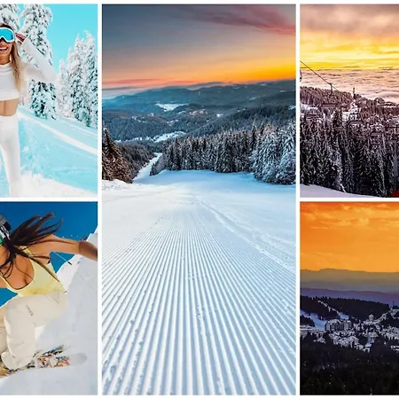 Milmari And Wellness Wooden Horn S21