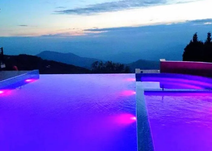 Milmari And Wellness Wooden Horn S21 *