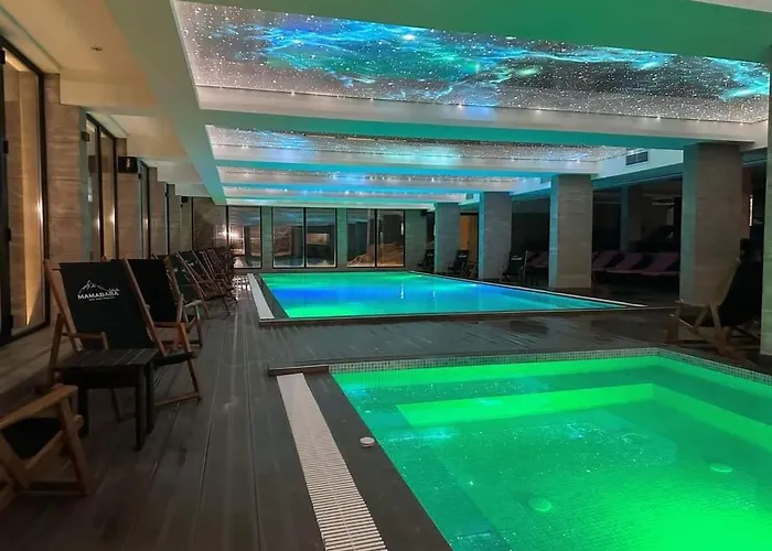 Milmari And Wellness Wooden Horn S21 Apartman Kopaonik